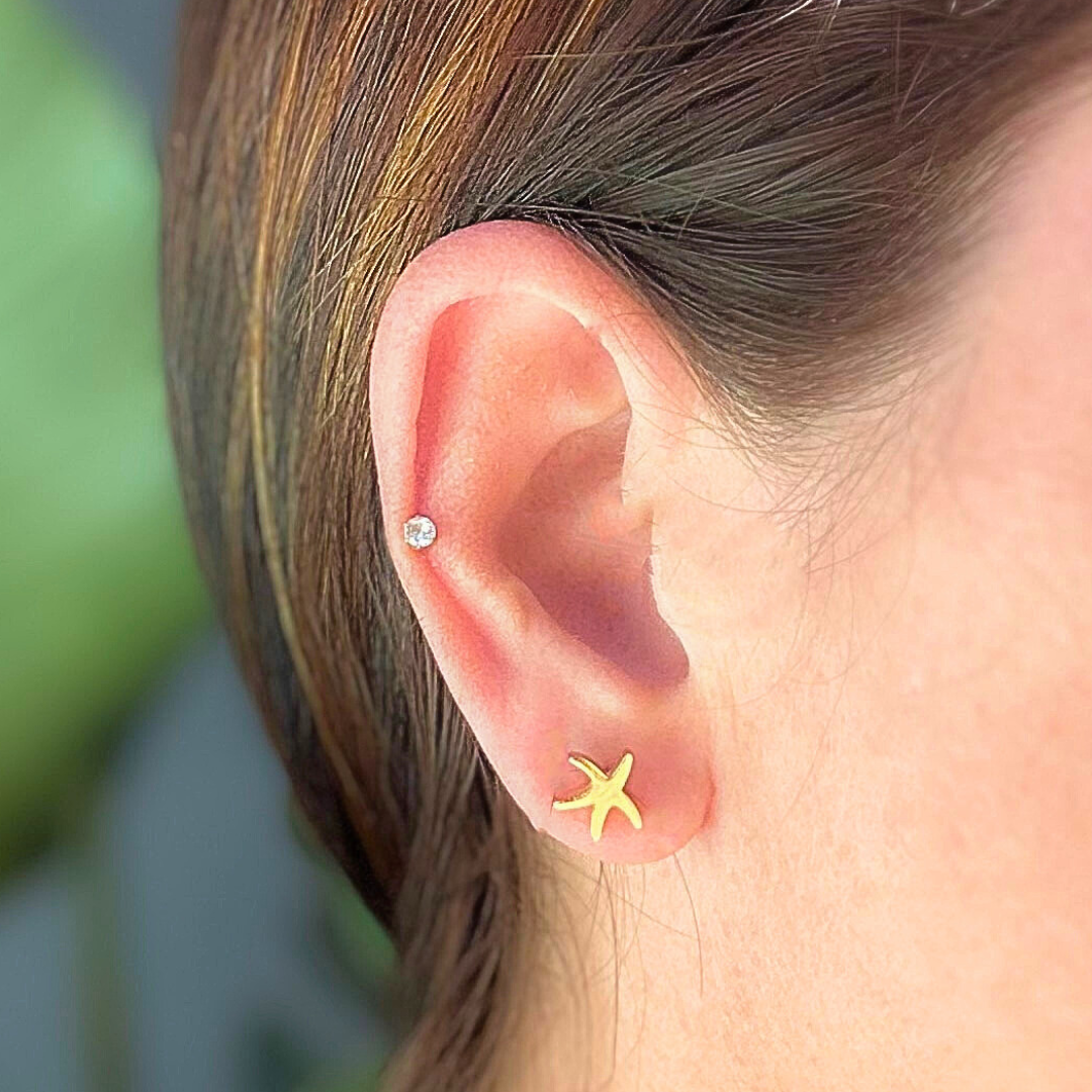 Starfish studs - Gold - TheEarringCollective