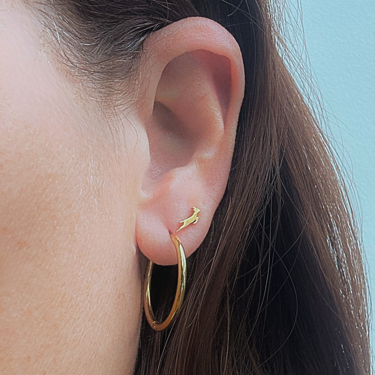 Tiny springbok studs - Gold