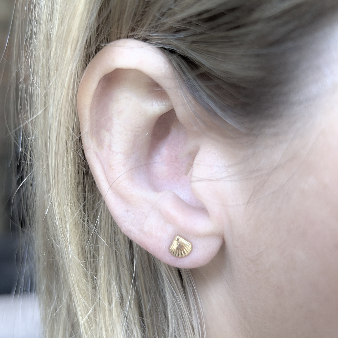 Baby shell studs - Gold - TheEarringCollective