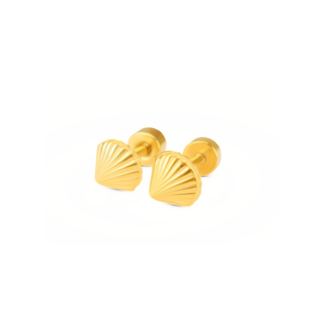 Baby shell studs - Gold