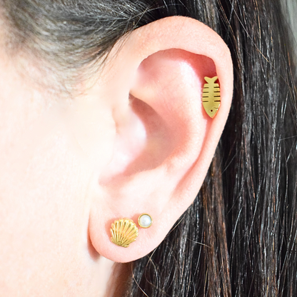 Shell studs - Gold - TheEarringCollective